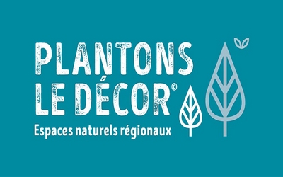 Plantons le décor